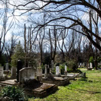 Jókai Nyugdíjasklub – séta a Farkasréti temetőben